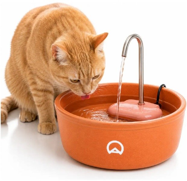 Fonte de cerâmica laranja Amicus Aqua Clay com torneira de inox e um gato laranja bebendo água