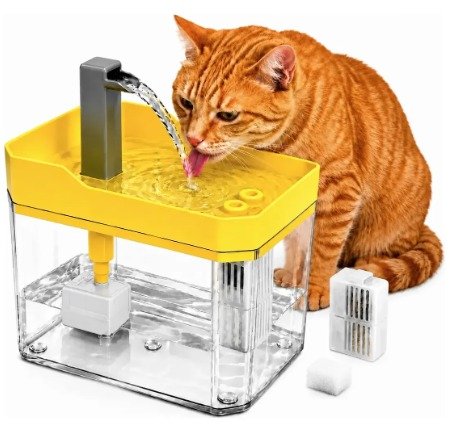 Fonte de plástico transparente com tampa amarela e bica de água, com um gato laranja bebendo