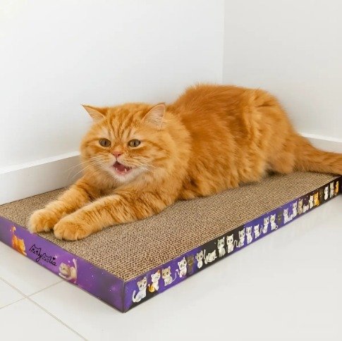 Arranhador plano de papelão ondulado com laterais roxas decoradas, com um gato laranja deitado sobre ele