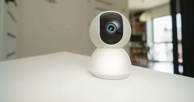 Tela de aplicativo exibindo imagem nítida de câmera de monitoramento de pet