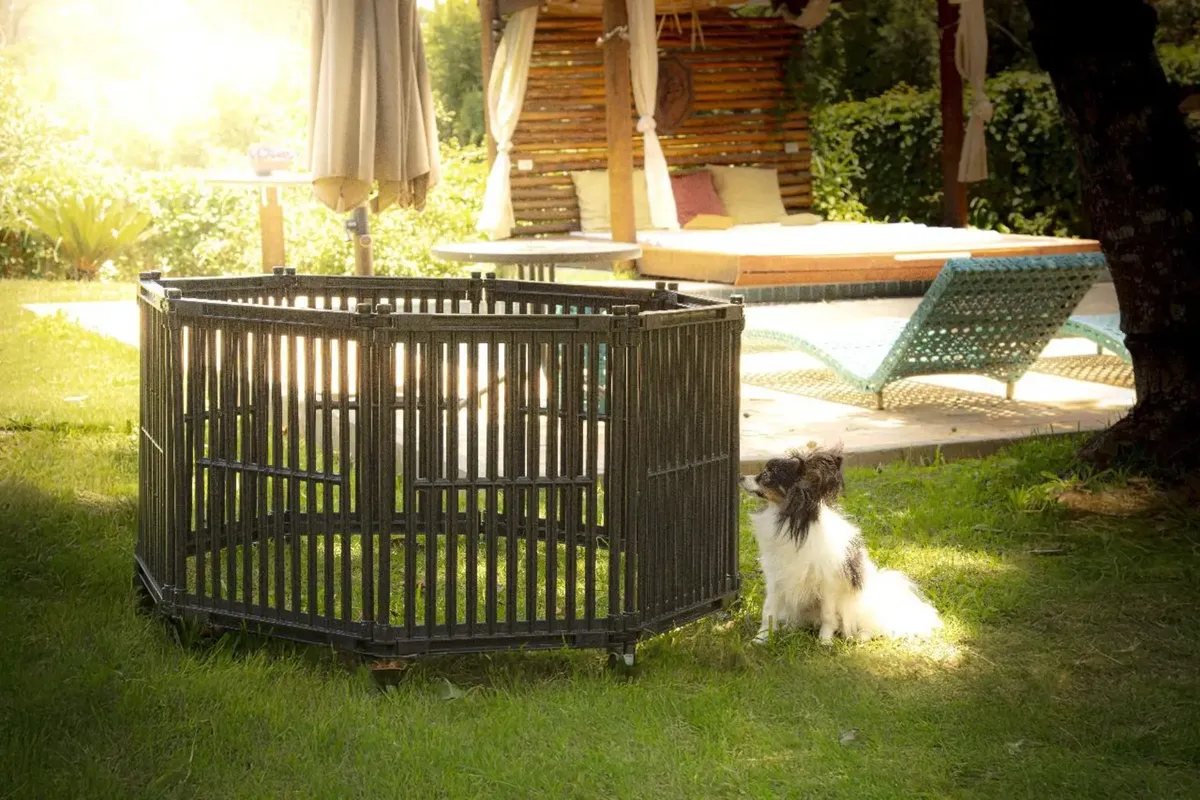Cercado para cachorros pequenos Divipets montado em formato retangular em ambiente externo
