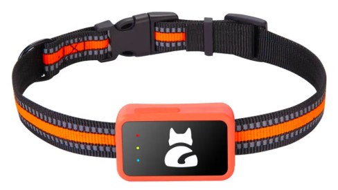 Rastreador GPS ANXK G68 4G laranja preso a coleira de náilon preta com faixa laranja refletiva