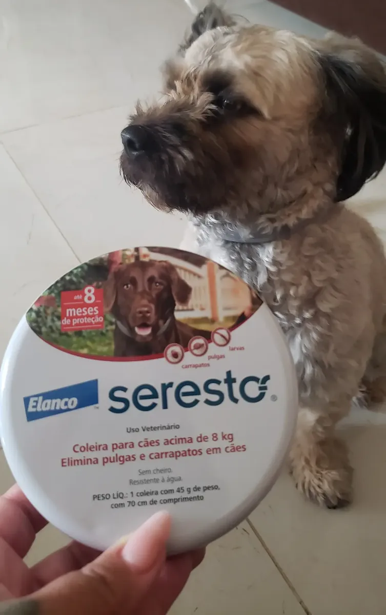 Foto enviada por comprador: cão ao lado da embalagem da coleira Seresto