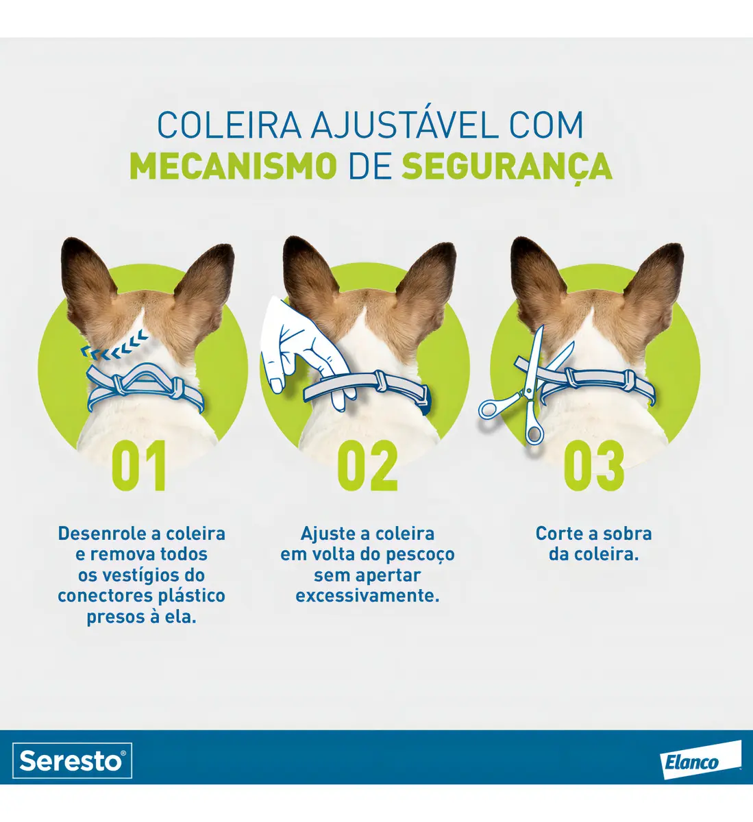 Infográfico do fabricante mostrando os três passos para ajustar a coleira Seresto no pescoço do cão