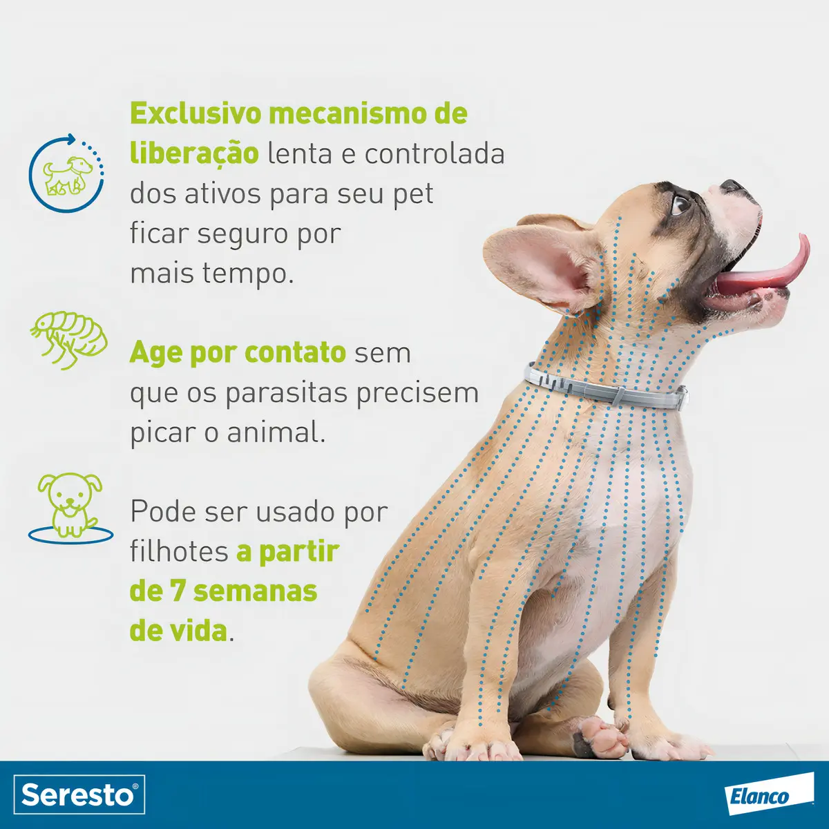 Infográfico do fabricante Elanco mostrando o mecanismo de liberação lenta dos ativos da coleira Seresto