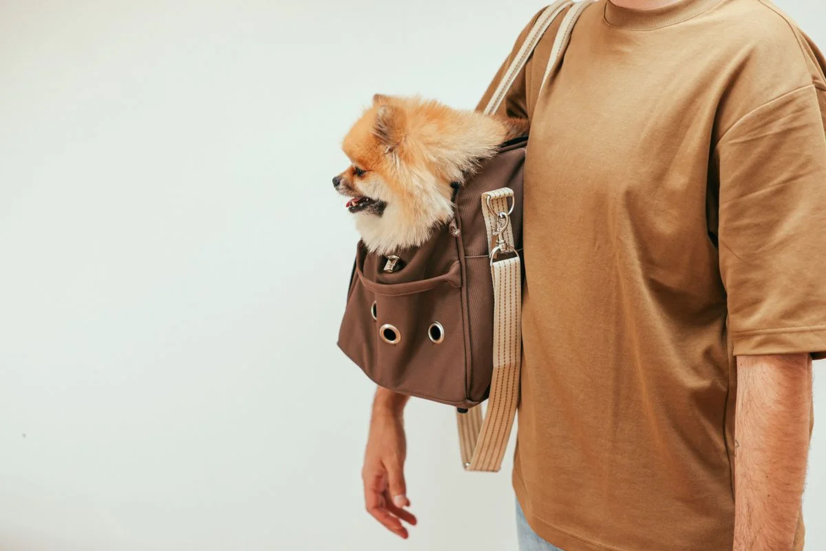 Homem segurando um cachorro pequeno dentro de uma bolsa transportadora, se preparando para viajar com o pet