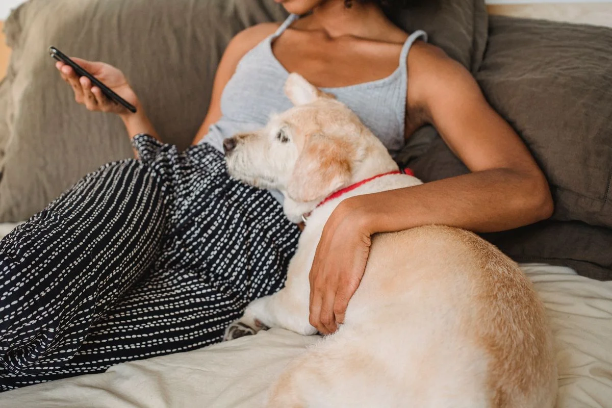 Pessoa deitada usando o celular ao lado de um cachorro em casa, verificando o aplicativo do comedouro automático remotamente