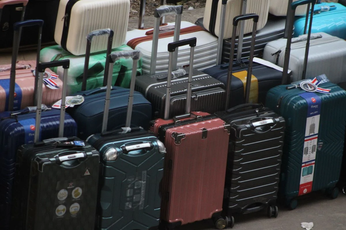 Como Preparar o Pet para Usar o Comedouro em Viagens