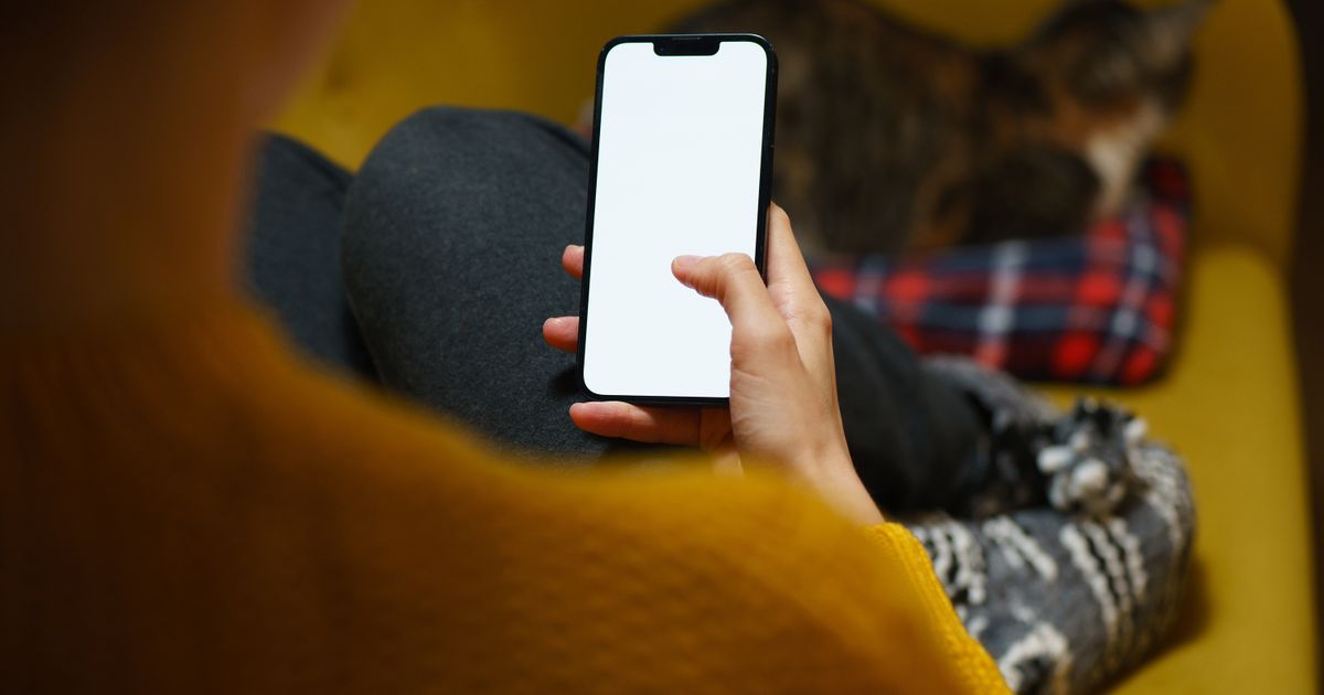 Comedouro VDRBG 4L Wi-Fi: Vale a Pena Comprar? Review