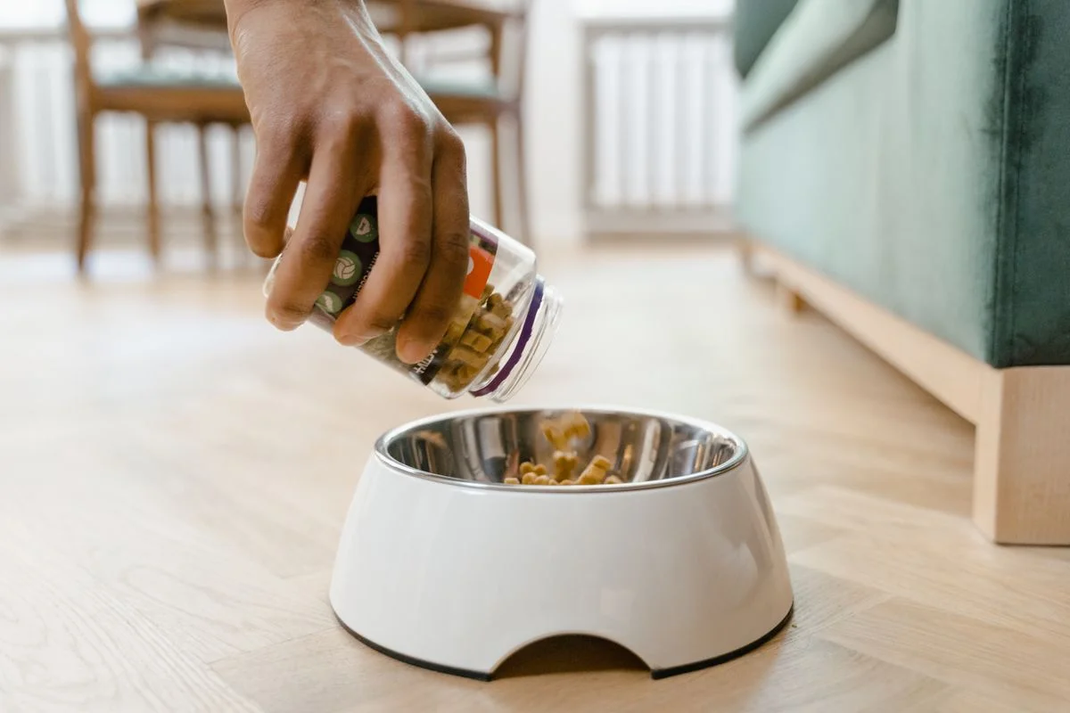 Como Limpar o Comedouro Automático do Pet: Guia Rápido