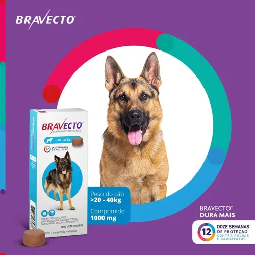 Caixa de Bravecto Azul-celeste comprimido para cães de 20 a 40kg, 12 semanas de proteção